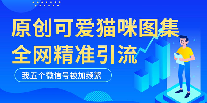 黑科技纯原创可爱猫咪图片，全网精准引流，实操5个VX号被加频繁-56课堂