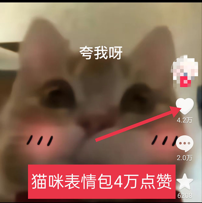 图片[3]-黑科技纯原创可爱猫咪图片，全网精准引流，实操5个VX号被加频繁-56课堂