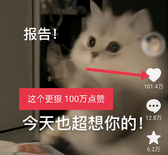 图片[4]-黑科技纯原创可爱猫咪图片，全网精准引流，实操5个VX号被加频繁-56课堂