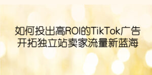 如何投出高ROI·TikTok广告,开拓独立站卖家流量新蓝海-56课堂