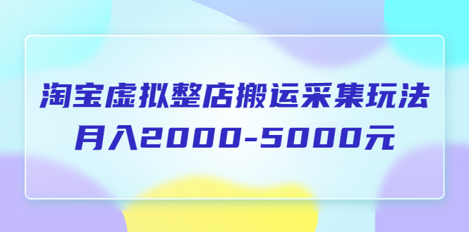 淘宝虚拟整店搬运采集玩法分享课：月入2000-5000元（5节课）-56课堂