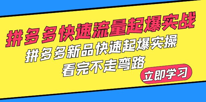 拼多多-快速流量起爆实战，拼多多新品快速起爆实操，看完不走弯路-56课堂