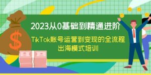 2023从0基础到精通进阶,TikTok账号运营到变现的全流程出海模式培训-56课堂