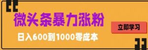 微头条暴力涨粉技巧搬运文案就能涨几万粉丝,简单0成本,日赚600-56课堂