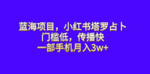 蓝海项目,小红书塔罗占卜,门槛低,传播快,一部手机月入3w+-56课堂