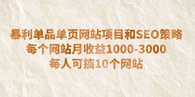 暴利单品单页网站项目和SEO策略 每个网站月收益1000-3000 每人可搞10个-56课堂