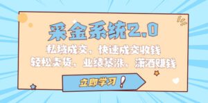 采金 系统2.0，私域成交，快速成交收钱，轻松卖货，业绩暴涨，潇洒赚钱-56课堂