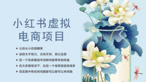 小红书虚拟电商从0到1,让你从小白到精英(20节实操课程)-56课堂