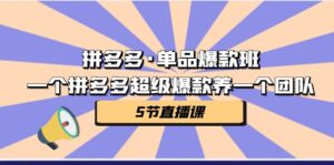 拼多多·单品爆款班,一个拼多多超级爆款养一个团队(5节直播课)-56课堂