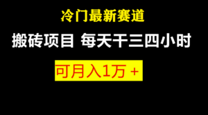 最新冷门游戏搬砖项目，零基础也能玩（附教程+软件）-56课堂