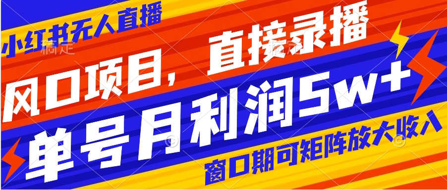 风口项目，小红书无人直播带货，直接录播，可矩阵，月入5w+-56课堂