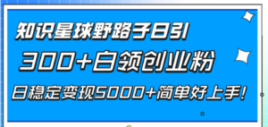 知识星球野路子日引300+白领创业粉,日稳定变现5000+简单好上手!-56课堂
