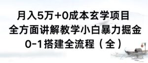月入5万+0成本玄学项目,全方面讲解教学,0-1搭建全流程(全)小白暴力掘金-56课堂