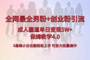全网首发成人用品单日卖货5W+，最全男粉+创业粉引流玩法，小白也能轻松...-56课堂