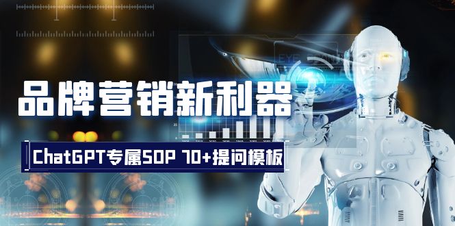 品牌营销新利器：ChatGPT专属SOP，70+提问模板-56课堂
