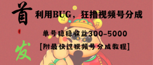 全网独家首发,视频号BUG,超短期项目,单号每日净收益300-5000!-56课堂
