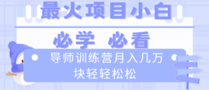 导师训练营互联网最牛逼的项目没有之一,新手小白必学,月入2万+轻轻松松-56课堂
