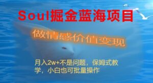 Soul掘金蓝海项目细分赛道,做情感价值变现,月入2w+不是问题-56课堂
