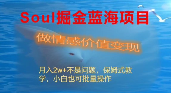 Soul掘金蓝海项目细分赛道，做情感价值变现，月入2w+不是问题-56课堂