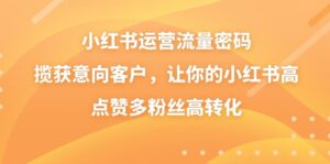 小红书运营流量密码,揽获意向客户,让你的小红书高点赞多粉丝高转化-56课堂