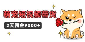 东哲日记·萌宠短视频带货,2天佣金9000+-56课堂