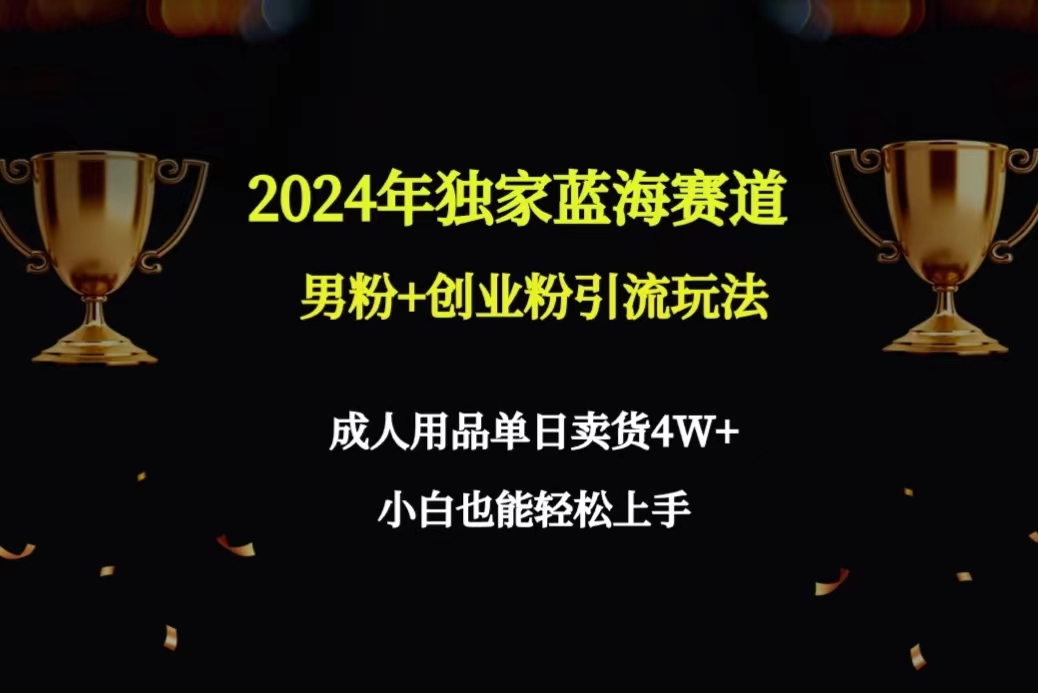2024年独家蓝海赛道男粉+创业粉引流玩法，成人用品单日卖货4W+保姆教程-56课堂