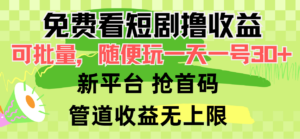 免费看短剧撸收益，可挂机批量，随便玩一天一号30+做推广抢首码，管道收益-56课堂