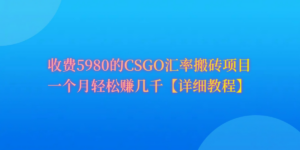CSGO装备搬砖，月综合收益率高达60%，你也可以！-56课堂