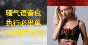 执行就出单，日入2000+，超火骚气语音包，小白看完课程就能马上实操-56课堂