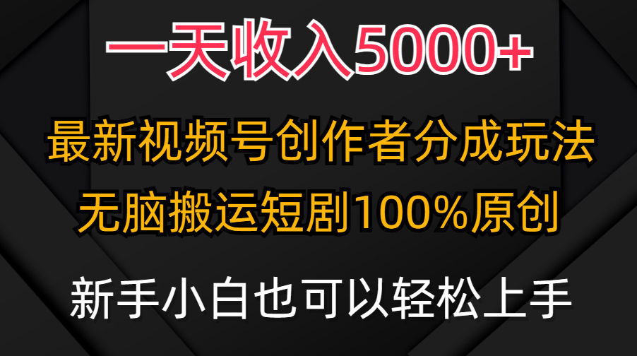 一天收入5000+，视频号创作者分成计划，最新100%原创玩法，小白也可以轻...-56课堂