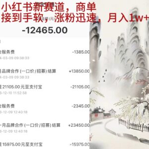小红书新赛道,商单接到手软,涨粉迅速,月入1w+-56课堂