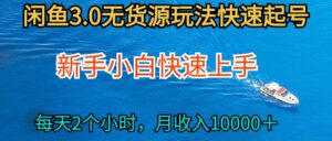 2024最新闲鱼无货源玩法,从0开始小白快手上手,每天2小时月收入过万-56课堂