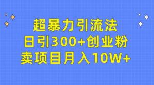 超暴力引流法，日引300+创业粉，卖项目月入10W+-56课堂