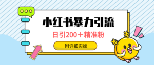 小红书暴力引流大法,日引200+精准粉,一键触达上万人,附详细实操-56课堂