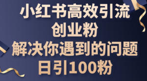 小红书高效引流创业粉，解决你遇到的问题，日引100粉-56课堂