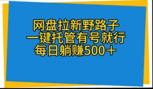 网盘拉新野路子,一键托管有号就行,全自动代发视频,每日躺赚500+-56课堂