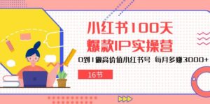 小红书100天-爆款IP实操营,0到1做高价值小红书号 每月多赚3000+(16节)-56课堂