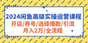 2024闲鱼高级实操运营课程:开店/养号/选择爆款/引流/月入2万/全流程-56课堂