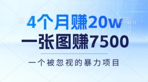 4个月赚20万！一张图赚7500！多种变现方式，一个被忽视的暴力项目-56课堂