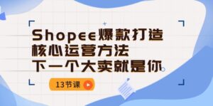 Shopee-爆款打造核心运营方法，下一个大卖就是你（13节课）-56课堂