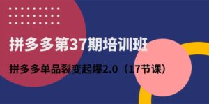拼多多第37期培训班：拼多多单品裂变起爆2.0（17节课）-56课堂
