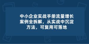 中小 企业 实操手册-流量增长案例拆解,从实操中沉淀方法,可复用可落地-56课堂