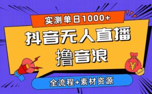 2024抖音无人直播撸音浪新玩法 日入1000+ 全流程+素材资源-56课堂