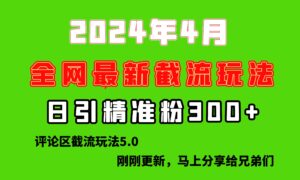 刚刚研究的最新评论区截留玩法,日引流突破300+,颠覆以往垃圾玩法,比...-56课堂