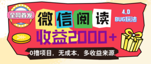 微信阅读4.0玩法!!0撸,没有任何成本有手就行,一天利润100+-56课堂