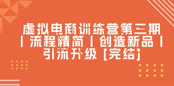 虚拟电商训练营第三期丨流程精简丨创造新品丨引流升级 [完结]-56课堂