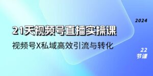 21天-视频号直播实操课,视频号X私域高效引流与转化(22节课)-56课堂