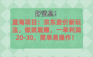 越早知道越能赚到钱的蓝海项目:京东大平台操作,一单利润20-30,简单...-56课堂