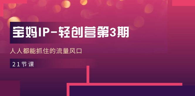 宝妈IP-轻创营第3期，人人都能抓住的流量风口（21节课）-56课堂