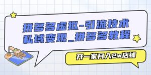 拼多多虚拟-引流技术与私域变现_拼多多教程：开一家月入2w店铺-56课堂